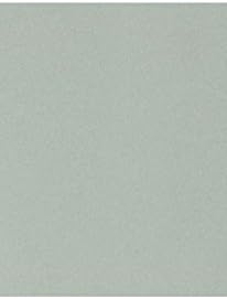 LUXPaper 11" x 17" Slate Gray Paper - Tabloid Size, 70lb Text, 50 Qty