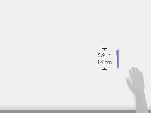 Pilot Erasable Ballpoint Pen, Pearl Violet, 0.38mm (LKFBS60UF-PV)