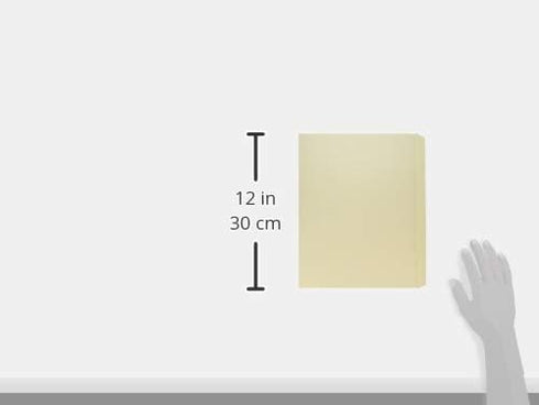 Business Source Heavyweight, Durable, Sturdy File Folder