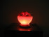 Himalayan Salt Fire Bowl Prosperity Lamp by Black Tai Salt Co.