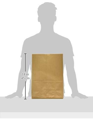 57 Lb Pack 25ct Kraft Brown Paper Bags