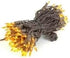 50 100 Bulbs 6" Commercial Novelty Lights Feet Traditional Incandescent Mini Lights, Amber on Brown Wire with Spacing