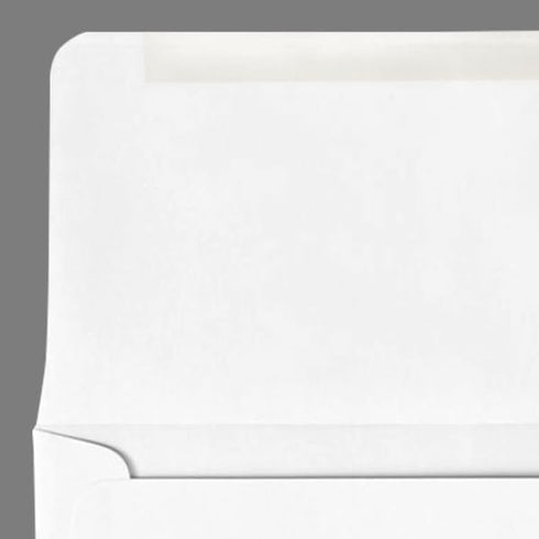 LUXPaper #9 Remittance Envelopes | 3 7/8 x 8 7/8" | Bright White | 24lb. Text | 250 Qty