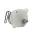 CHANCS JS-30 Electric Motor Gearbox DC 6V 5RPM Double Flat Shaft Gear Motor for Small Display Stands