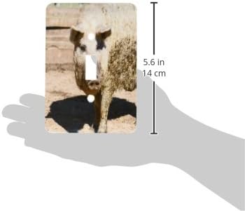 3dRose lsp_189017_1 Mangalitsa Pig, Hungary, Eastern Europe Toggle Switch by 3dRose