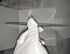100mm (4''), 100mm, 100mm) Fresnel Lens Magnifier, Diameter Focal Length Acrylic Lens (not Glass), for Physics