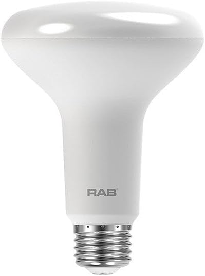 RAB Lighting BR30-10-930-DIM Outdoor, Image