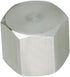 304 Stainless Steel Pipe Fitting Hex Cap, Heavy Duty 3/8" NPT Female, Pack of 2