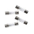20PCS 110V 125V 8A 0.2 0.79 inch 5 20 mm PENGLIN Glass Fuses Slow-Blow Time Delay Fuse Light Strings Replacement Glass