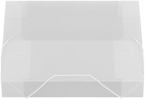 Lion File-N-Tote Plastic Document File - 13 x 9-7/8 Inches, 2 Inches Capacity, Clear, 1 File (45200F-CR)
