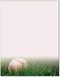 Grassy Baseball Letterhead, 100 Pack - 8.5 x 11 inches, DIY Printing, Laser & Inkjet Printer/Copier Compatible by The Image Shop