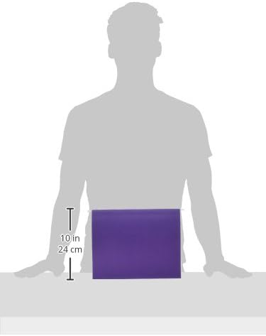 School Smart Letter Size Hanging File Folders with 1/5 Cut Tab - Pack of 25 - Purple - 085112 by School Smart