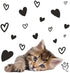 Rachael Hale Collection Sticky Note Cubes | 2 3/4" x 3" | Tabby Cat Design | 2 Qty