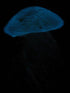 JELLYFISH 6" Red Orange Glass Paperweight (Glow in Dark) - Jelly Fish Paper Weight by