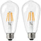LED Bulbs 3.7-5V 2 Pack,3.7-5V,ST64,E26 for Home, Office2700K 400 Lumen,Suitable for Battery
