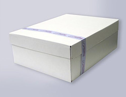 NextDayLabels #9 Double Window Security Envelope (Regular Gum - 500 Per Pack)