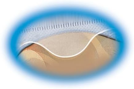 Avery Clear DVD Storage Sleeves, Two-Sided, Pack of 5, Holds 20 CD/DVDs Total (75263)