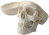Ocean-Aquarius Mini Human Medical Anatomical Head Bone Skull Model, Educational Mini Model