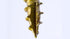 GRK Fasteners 103101 R4#9 x 2-1/2" Screws - 100CT for Various Fastening Needs