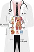 A4 Blue Tree Publishing Pelvic Health and Pelvic floor Charts size with interactive QR codes that link to animations