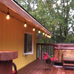 S14 Clear String Light Bulbs, 2W Plastic LED Replacement Bulbs for Outdoor Patio String Lights, E26 Base, Pack of 25