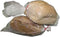 Beneficencia 4 x 2 x 12 in. 0.65 Mil Poly Bakery Bread Bags