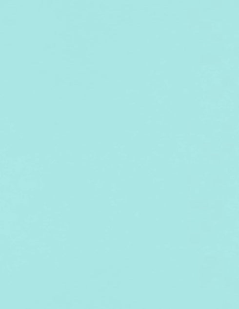 LUXPaper 8.5" x 11" Paper, Seafoam Blue, 80lb. Text, 50 Qty, Letter Size