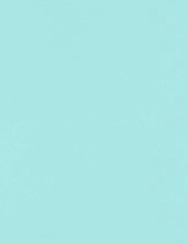 LUXPaper 8.5" x 11" Paper, Seafoam Blue, 80lb. Text, 50 Qty, Letter Size