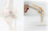 1:1 Knee Joint Simulation Model Medical Anatomy Human Life Size