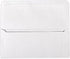 LUXPaper #9 Remittance Envelopes | 3 7/8 x 8 7/8" | Bright White | 24lb. Text | 250 Qty