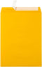 LUXPaper Open End Envelopes 10 x 13 | Peel & Press | Sunflower Yellow | 80lb. Text | 50 Qty