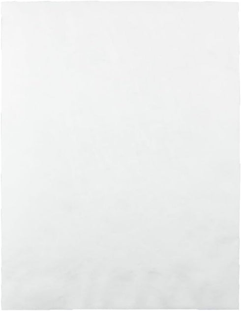 Quality Park Survivor Shipping Envelopes, 10" x 13", Strong DuPont Tyvek Material, Flap-Stik Peel and Seal Closure,