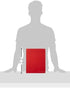 Kokuyo Color Palette Metal Round Ring Binder A4-S, 30 Holes, Up to 100 Sheets, 5 Colorful Tab Dividers, Red