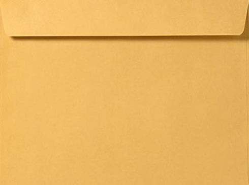Brown Kraft Booklet Envelopes, 28lb, Pack of 50, 9 x 12