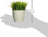 Kikkerland Potted Pen Stand, SC24