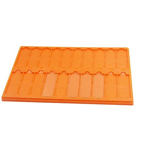 Plastic Microscope Slide Tray; 20 Capacity, One Pack (Orange)