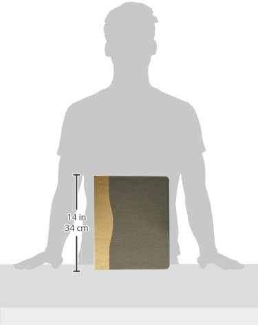 iCarryAlls 3-Ring Binder Portfolio with 3/4 Inch Round Ring, Document Storage with 5 Transparent Bags, Gray+Gold