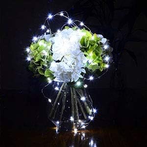 XINKAITE 30 Micro LEDs on 10Feet/3M Fairy Silver Wire, Battery Operated String Lights, Cold White