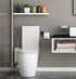 Industrial Style Toilet Paper Holder, Vintage Metal Iron Pipe Wall Mounted Towel Rack for Bathroom Kitchen (Rust Free,