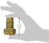 BK Products 3/4 in. Brass Meter Coupling MIP x 3/4 in.