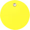 CleverDelights 2" Round Plastic Tags - 100 Pack, Waterproof Heavy Duty Tear-Resistant