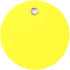 CleverDelights 2" Round Plastic Tags - 100 Pack, Waterproof Heavy Duty Tear-Resistant