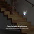 Night Light Plug-in into Wall Dusk to Dawn Smart Sensor White Led Nightlight for Bedroom Bathroom Kitchen Hallway