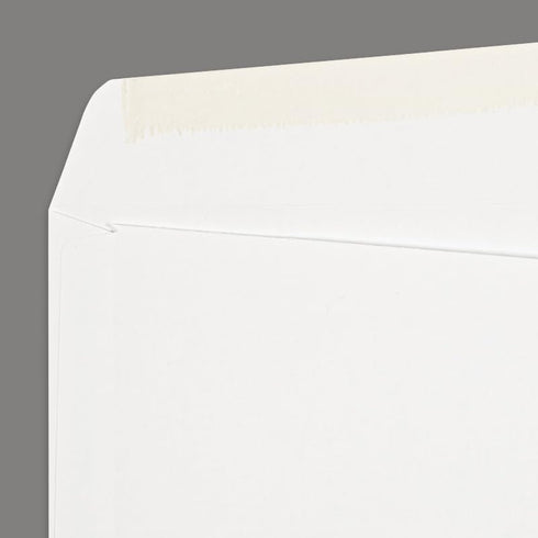 LUXPaper #10 Business Window Envelopes, Machine Insertable, 4 1/8" x 9 1/2", White, 250 Qty