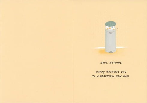 Designer Greetings Nothing Can Spoil the Joys of Motherhood: Changing Table and Laundry Basket Funny/Humorous Mother's