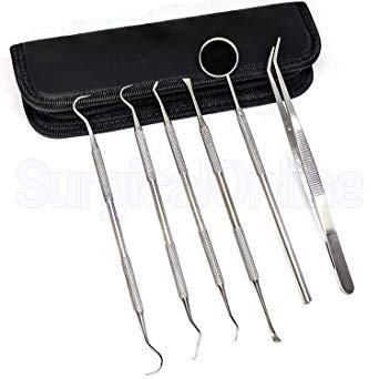 SURGICAL ONLINE Professional Dental Tools Kit, 6 pcs with Pouch, Teeth Cleaning Oral Care Kit
