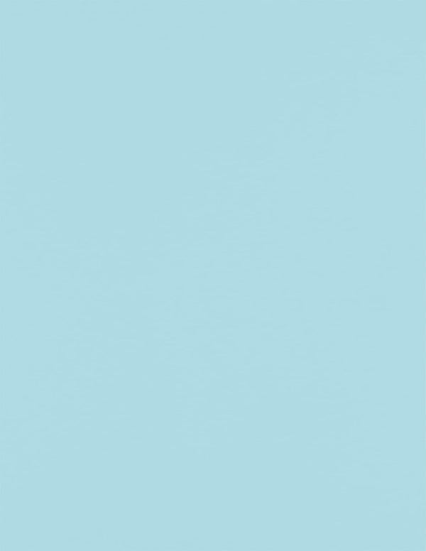 LUXPaper 8.5" x 11" Letter Size Paper, Pastel Blue, 60lb. Text, 500 Qty