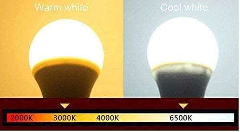 12V Low Voltage LED Light Bulbs Warm White 10W (Only for 12-36V), Pack of 2