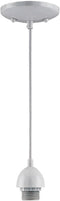 Westinghouse 7028600 Pend Kit Mini, White