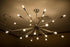 Dimmable G16.5 Bulbs,6W E26 Bulbs,Warm 2700K,600lm,6W 60 Watt,G50 Bulb Bulb 6Pack. Leools LED Edison LED Light White